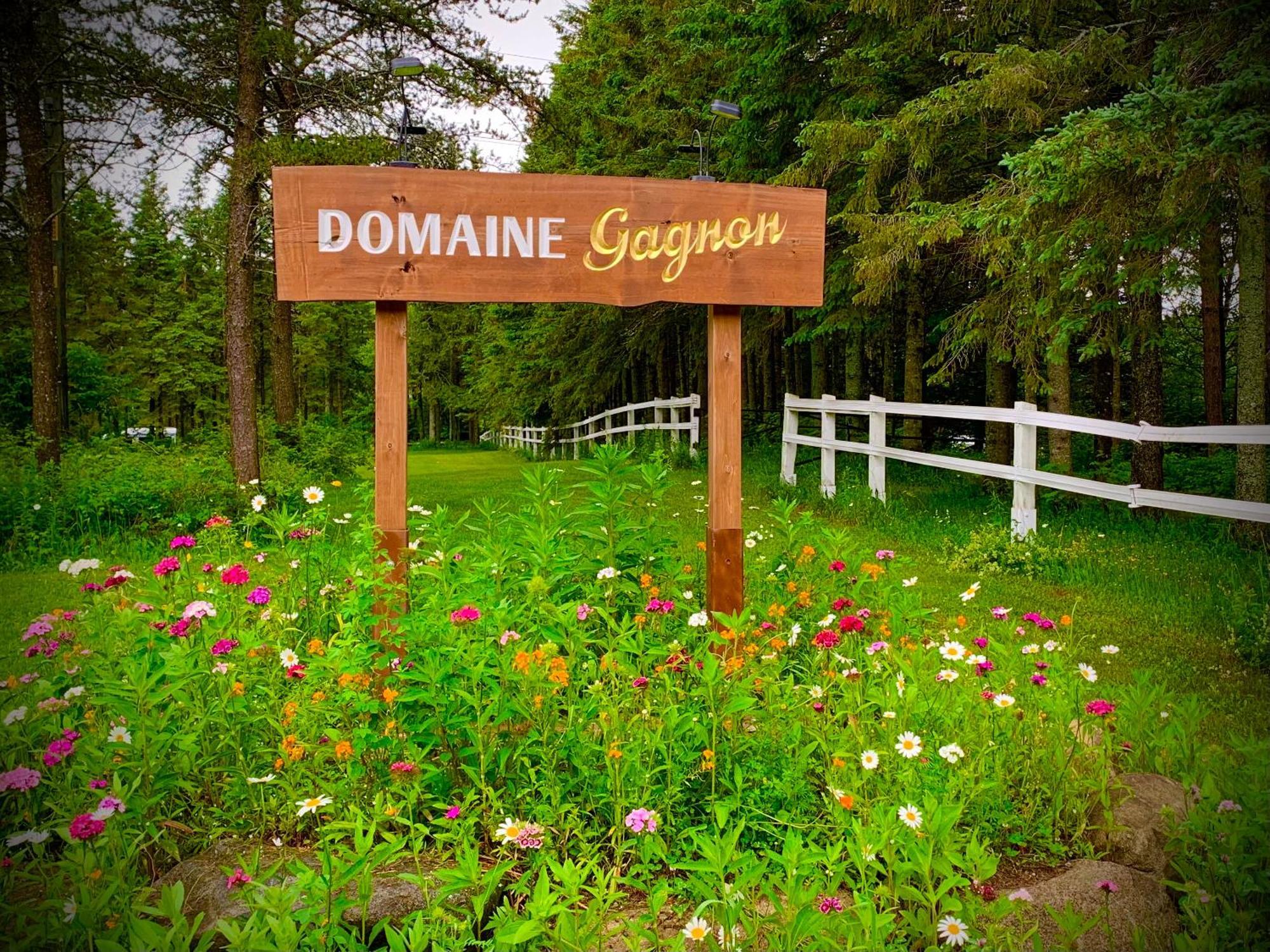 Domaine Gagnon Vila Saint Sebastien Exterior foto