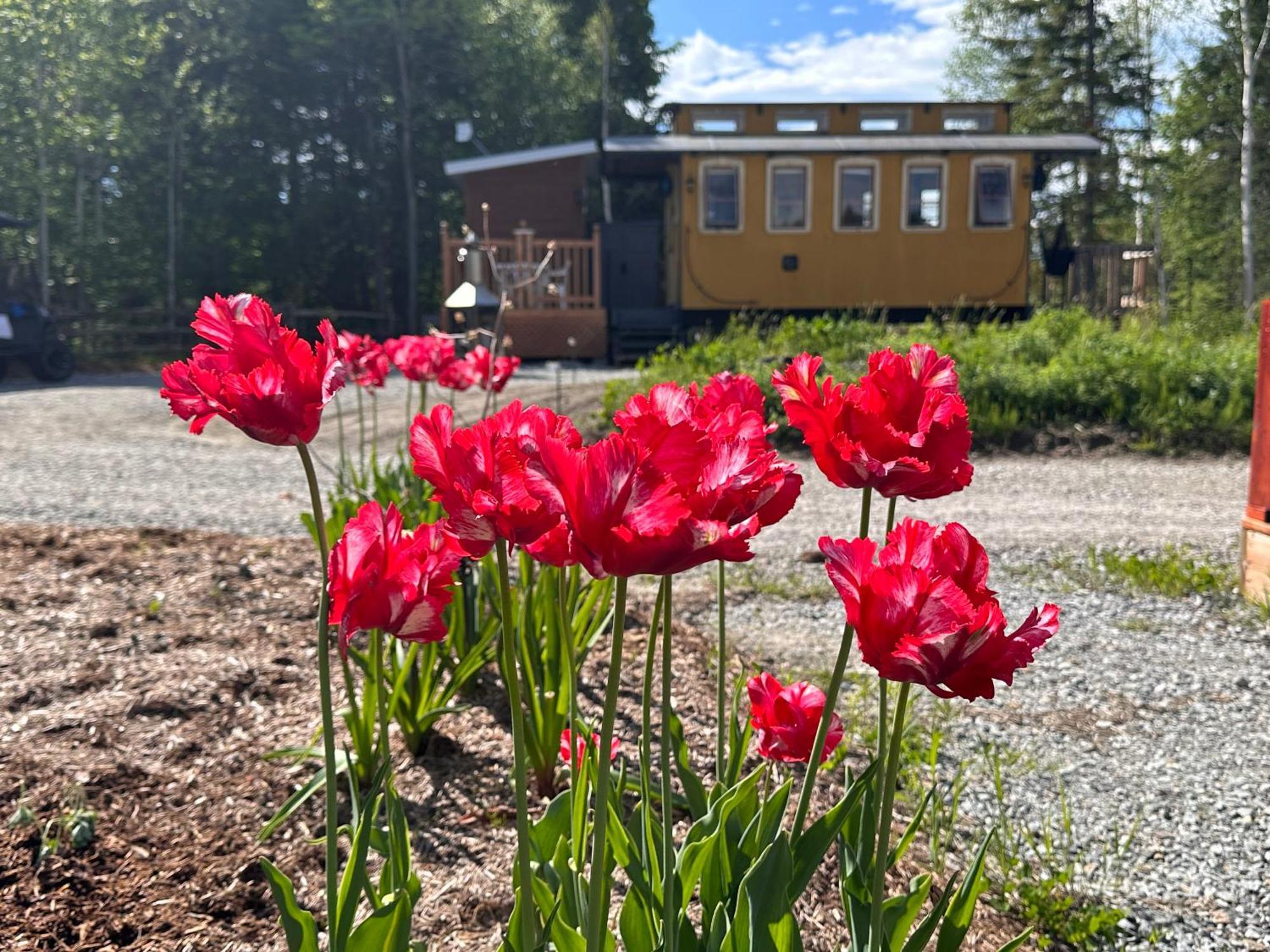 Domaine Gagnon Vila Saint Sebastien Exterior foto