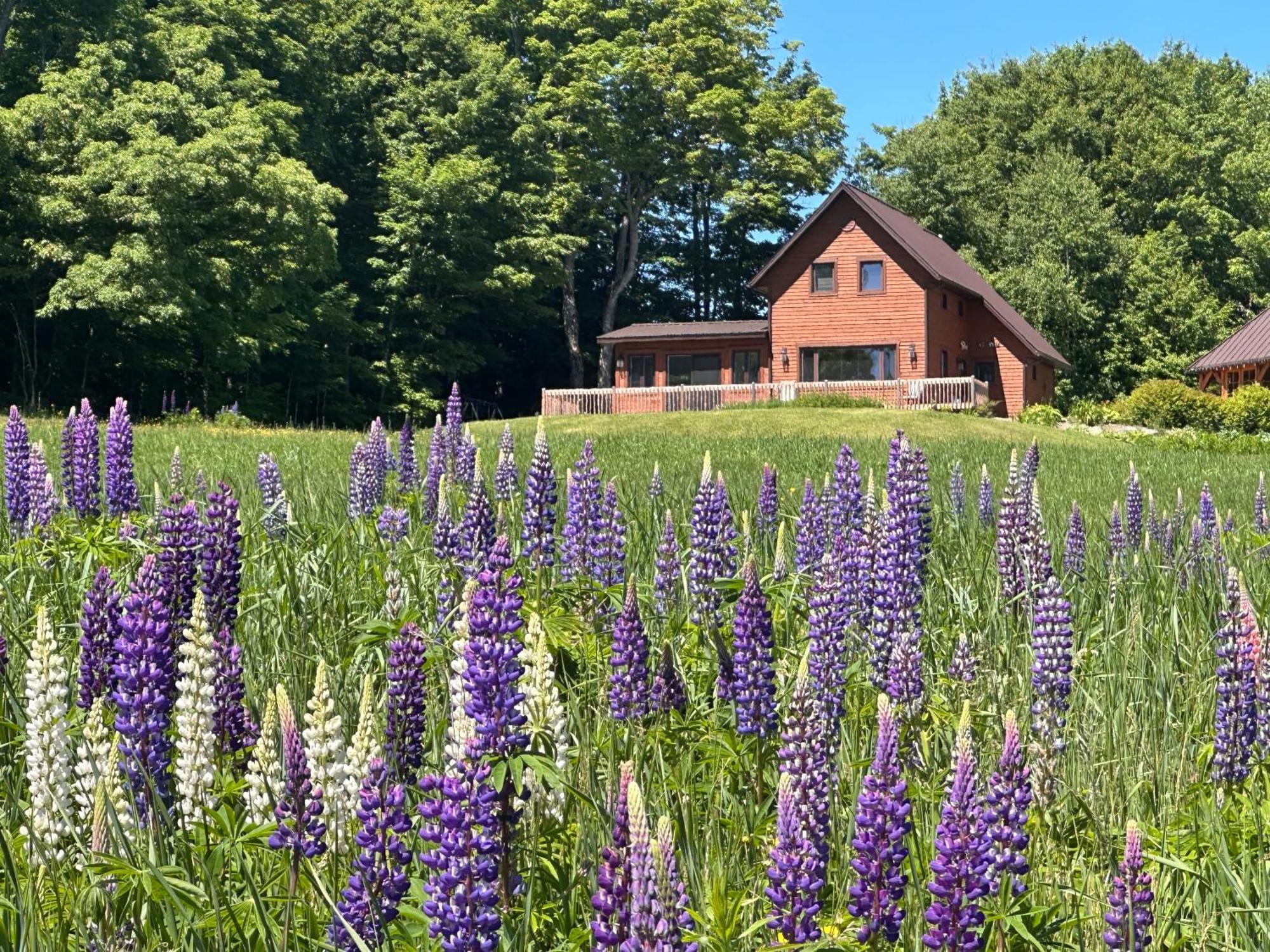 Domaine Gagnon Vila Saint Sebastien Exterior foto